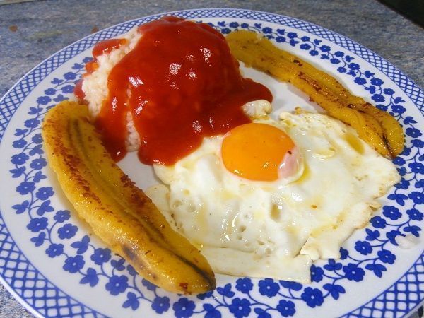 Archivo:Arroz ppapap.jpg