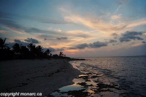 Archivo:Oasisatardecer.jpeg
