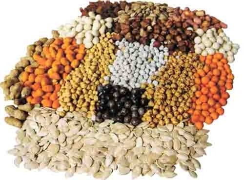 Archivo:Producción semillas.jpg