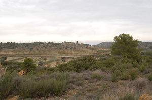 Camp de batalla de Maella.jpg