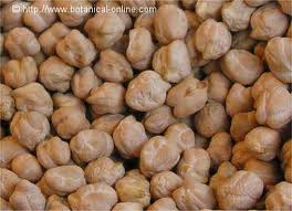 Archivo:Garbanzos1.jpg
