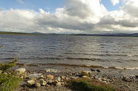 Archivo:RN Laguna Parrillar 6.jpeg