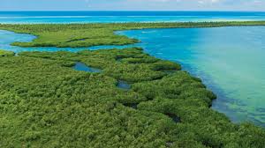 Archivo:Parque nacional del este.jpg