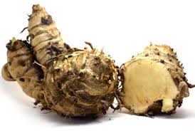 Curcuma xanthorrhiza.jpg