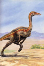 Ornithomimus.jpg