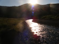 42113509 guerrero.jpg