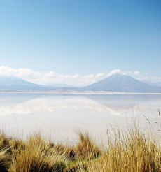 Archivo:Salar de Ascotán.jpg