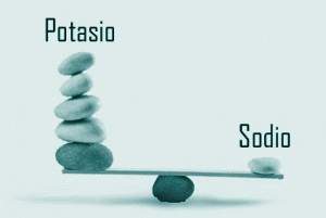 Equilibra tu cuerpo.jpg