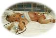 Reanimación neonatal 2.jpeg