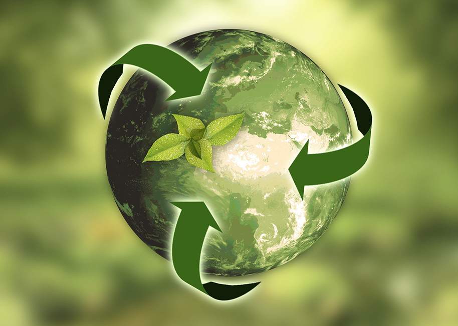 Fundamentos básicos de ecología.