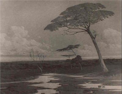 Ernesto Laroche EcuRed