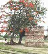 Fortín Chambelona.jpg