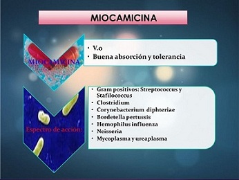 MIOCAMICINA.jpg