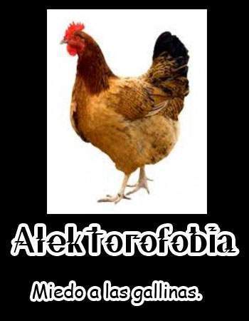 Archivo:Alektorofobia.jpg