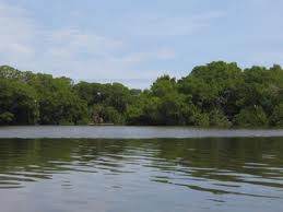 ParqueNacional Tacarigua..jpeg