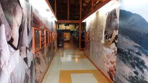 Archivo:Museo Paleontológico Interiores.jpg