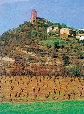 MORILLO DE MONCLÚS.jpg