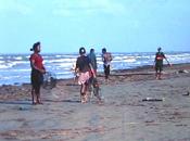 Playa las marías.jpg