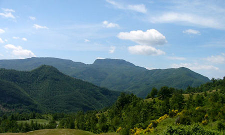 Archivo:Parque nacional de Foreste Casentinesi, Monte Falterona y Campigna.jpg