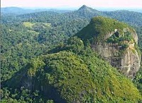 Sierra Tumucumaque.jpg