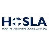 Hospìtal de Los Andes, logo.png