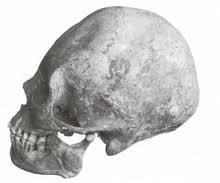 Deformidad pijao.jpg