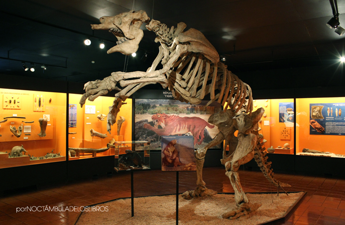 Archivo:Sala de Paleontología M. Colchagua.png