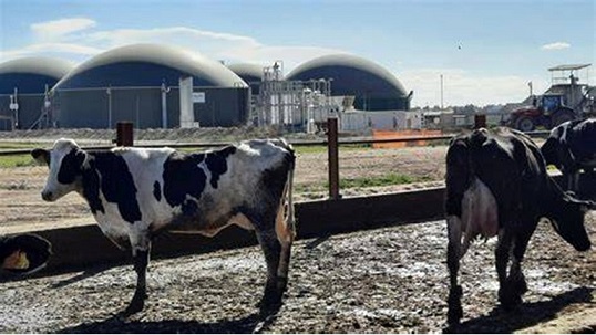 Archivo:Biometano Utilización de desechos ganaderos .jpg