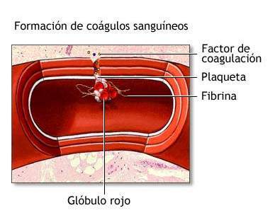 Coagulantes - EcuRed