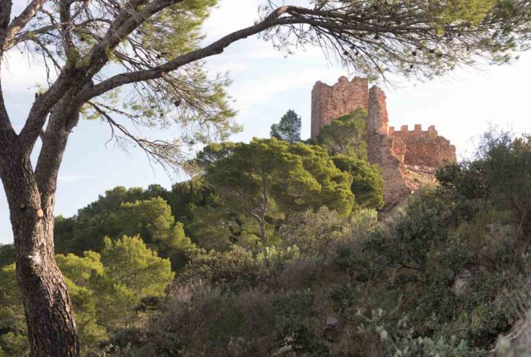 Archivo:Serratotnatura castell medieval-768x516.jpg
