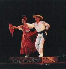 Danzas Guerrero.jpg