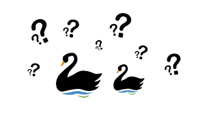 Teoria del cisne.png