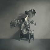 Archivo:Elmisteriodela vida.jpg