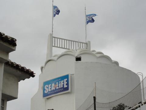 Archivo:Acuario Sea Life Benalmádena.jpeg
