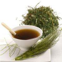 Cola de caballo3.jpg