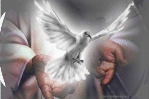 Archivo:Espíritu Santo12.jpg