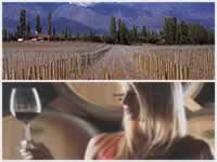 Vinos de Argentina.jpg