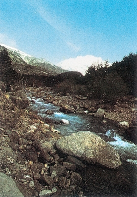 RIO ESTARRÚN.jpg