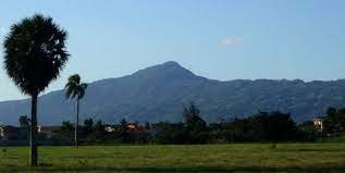 Archivo:Pico diegodeocampo.jpg