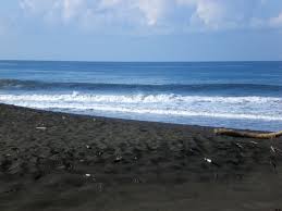 Playa Hermosa Puntarenas.jpg