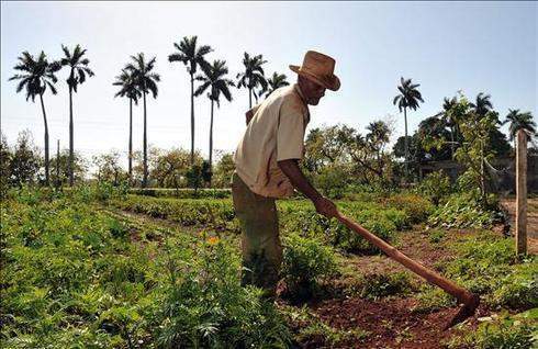 Archivo:Agricultor-cuba.jpg