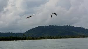 Archivo:Santuario de Fauna Acandí, Playón y Playona.jpg