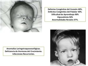 Velo cardio facial.jpg