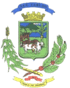 Escudo de San Carlos