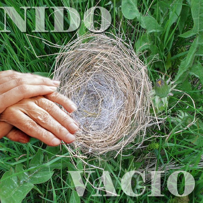 Nido vacio ecured.jpeg