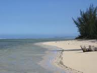 Cayo AcostaAAAAAAAA.jpeg