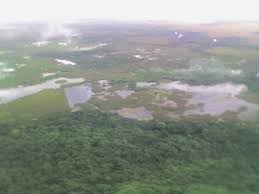 Humedal Palustrino portada.jpg