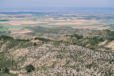 Archivo:Vista de los Monegros desde la Sierra de Alcubierre.jpg