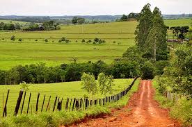 Imagen Distrito LLos Cedrales Paraguay.jpeg