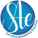 Logo sae.png